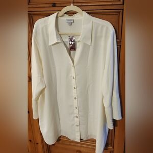 THE AVENUE.                      Elegant Cream Georgette Blouse